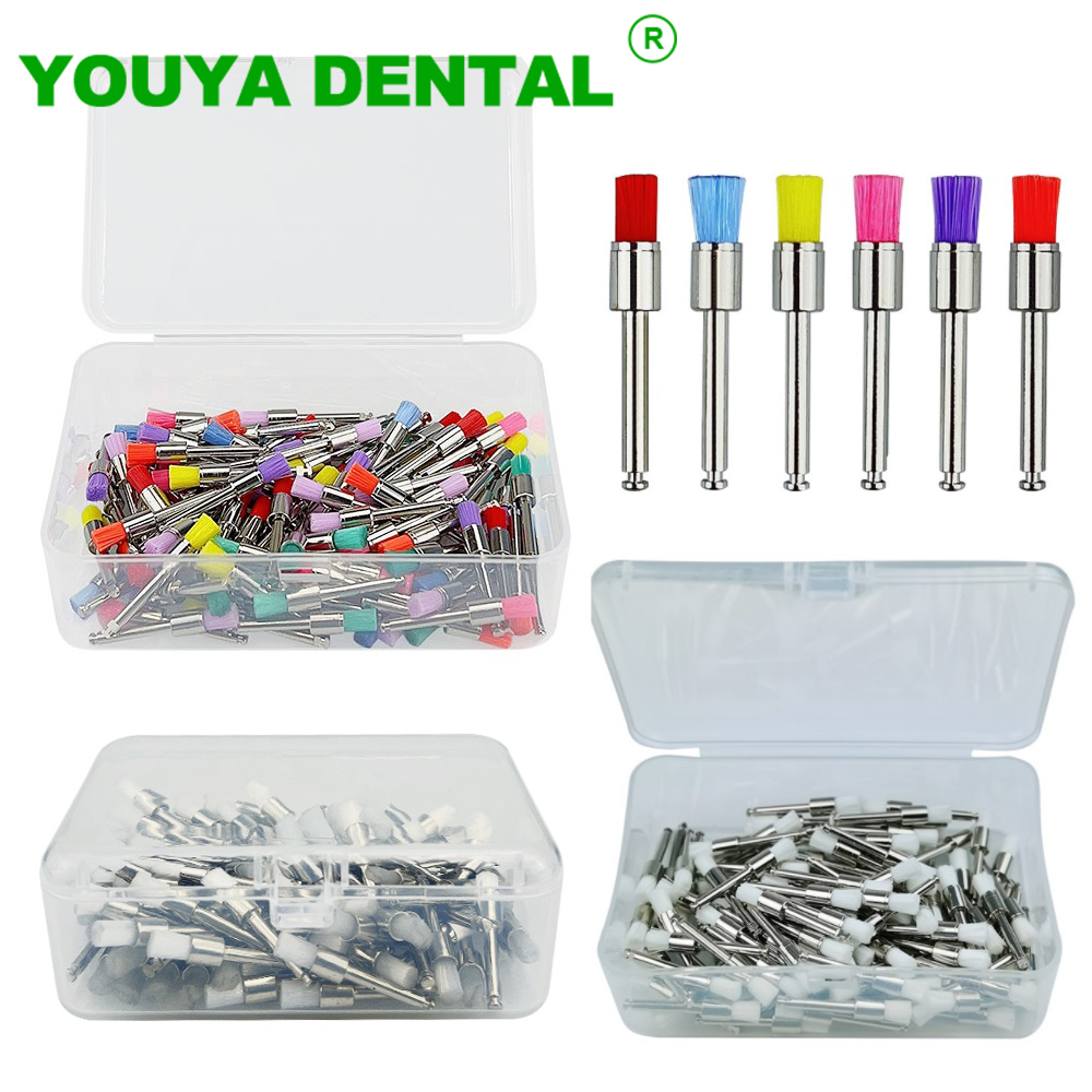 100pcs/Box Dental Polishing Br – Teeth Whitening Brush Bewertung und Preis