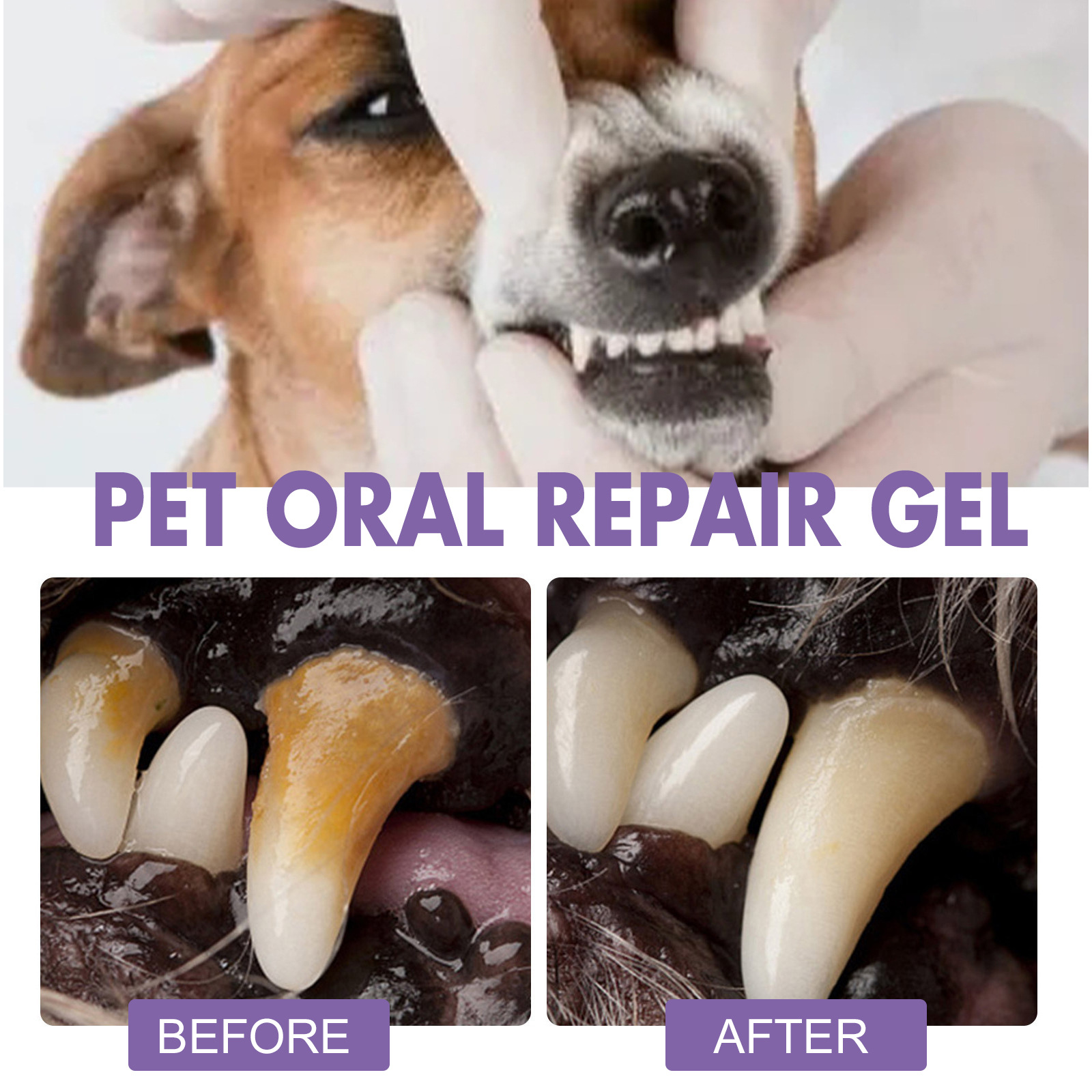 Pet Oral Repair Gel Puppy Tart – Teeth Whitening Price Bewertung und Preis