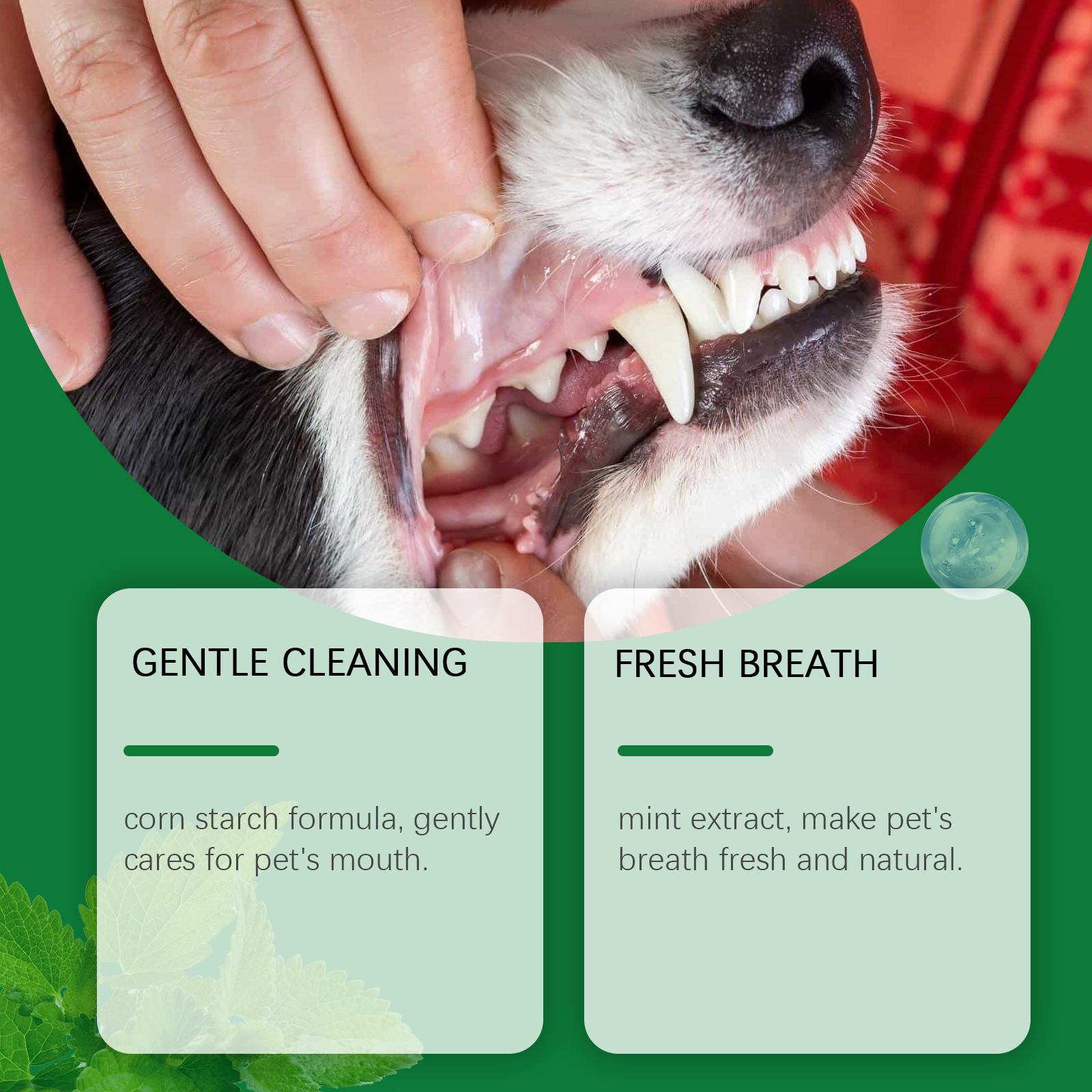 Pet Teeth Cleaning Powder Redu – Teeth Whitening Bleach Bewertung und Preis