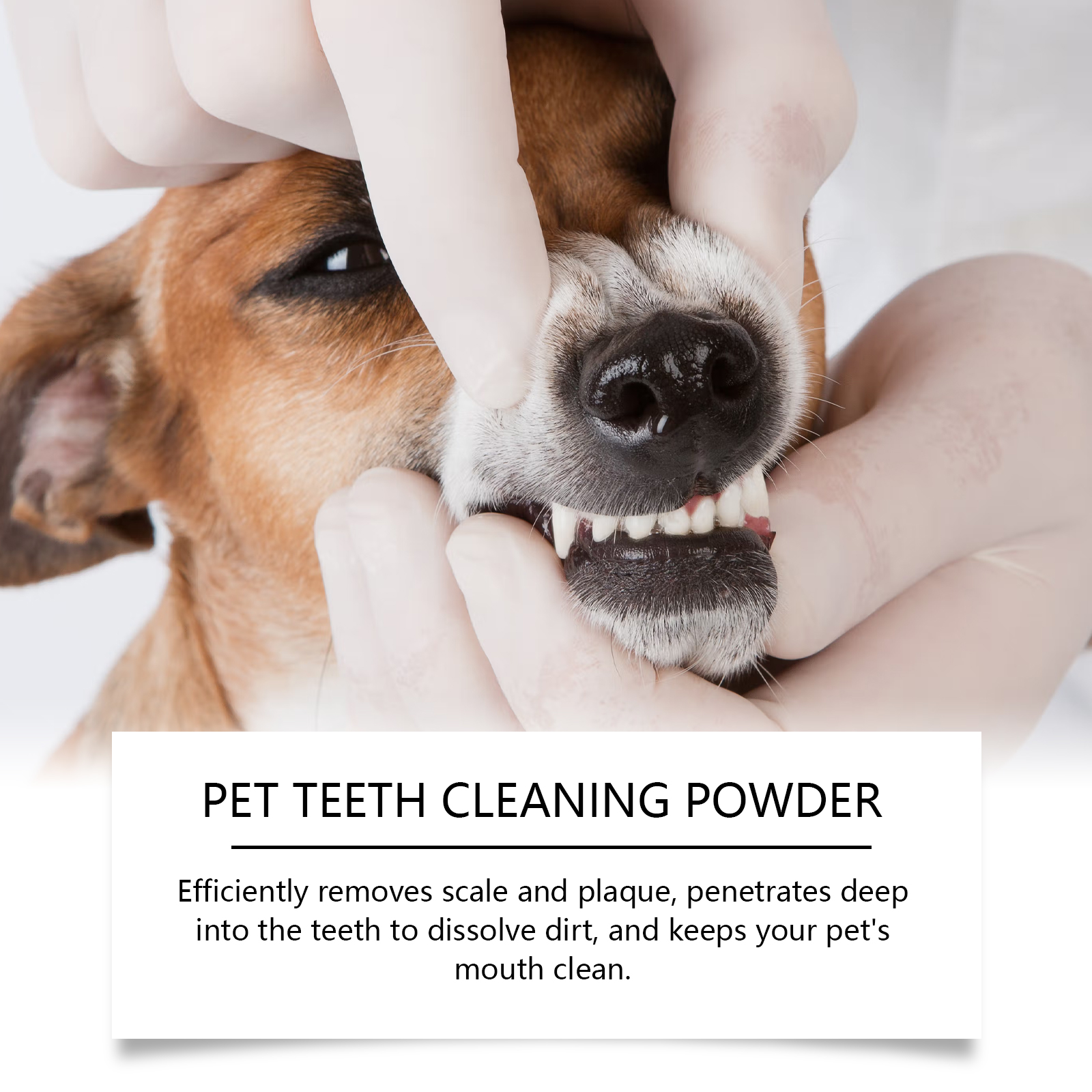 Pet Teeth Cleaning Powder Redu – Teeth Whitening Bleach Bewertung und Preis