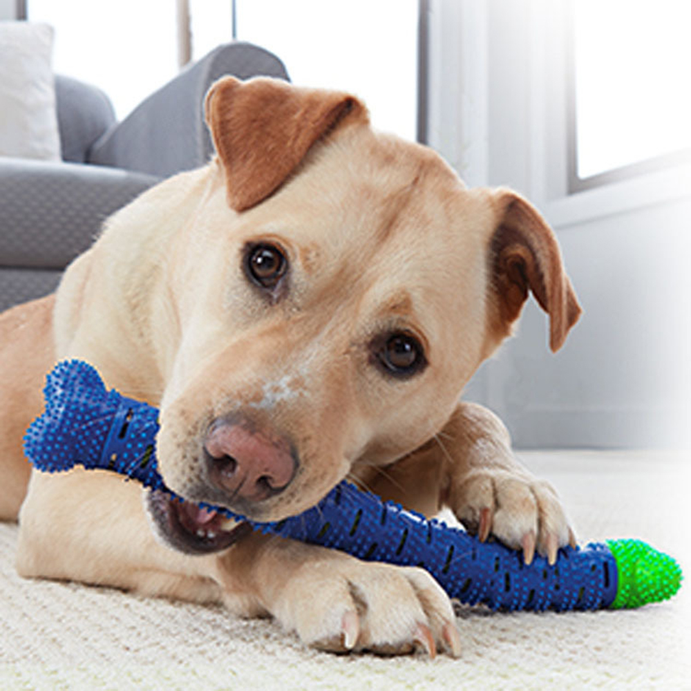 Simulation Detachable Bone Dog – Teeth Whitening Brush Bewertung und Preis
